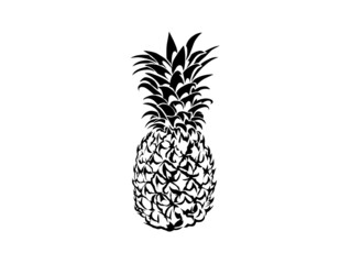 Pineapple image vector in black and white. fruit icon