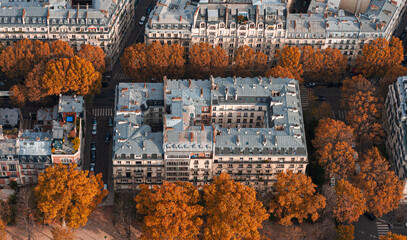Paris buildings from city centre view from above on the top of Eiffel Tower during an amazing autumn day. Travel in France. - obrazy, fototapety, plakaty