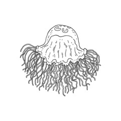 Jellyfish. Vector wild ocean animal underwater life doodle black white line isolated illustration.
