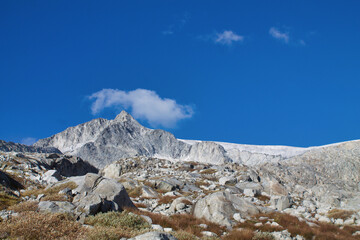 caré alto glacier of adamello group in sunny day