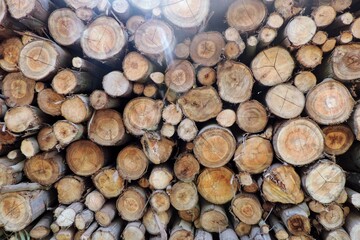 stack of wood with flare