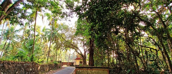 Naklejka premium hammock in the garden