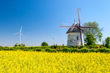 Moulin à Vent d'Eaucourt dans la Somme. Champ de colza en fleur et éolienne en arrière-plan
