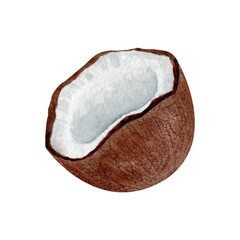 watercolor illustration with  coconut on isolated  background