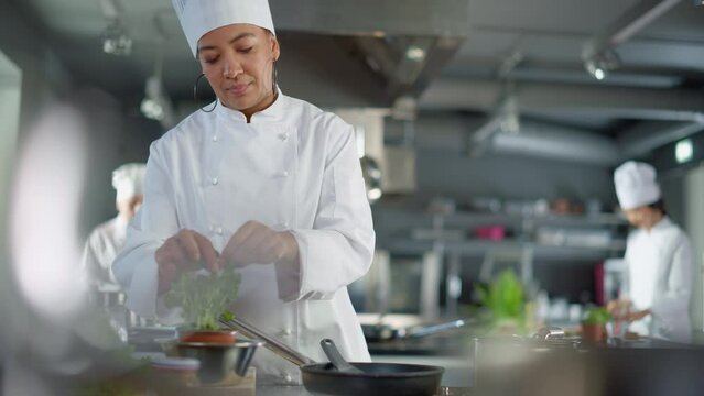 Restaurant Kitchen: Black Female Chef Fries Organic Patty on a Pan, Seasons it and Flips Cutlet with a Smile. Cooking Delicious and Traditional Authentic Food. Healthy gourmet Dishes. Medium Shot