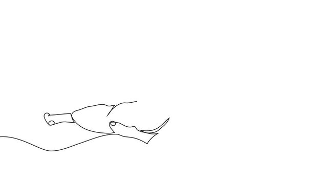 Karate. Fighting man wearing kimono drawing with continuous line, quick sketch, combat and martial arts concept, minimalist video of vector illustration 