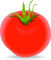 Red Fresh Raw Tomato - Icon Illustrator Isolated