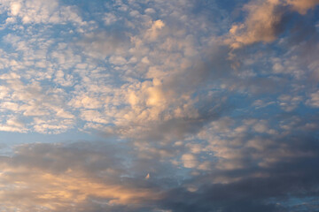 many wind-scattered cirrus clouds beautifully illuminated by the setting sun