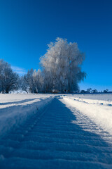 Snowy landscape, winter in Russia