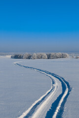 Fototapeta na wymiar Snowy landscape, winter in Russia
