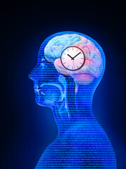 The circadian rhythms are controlled by circadian clocks or biological clock these clocks tell our brain when to sleep, tell our gut when to digest and control our activity in several day. 3d render