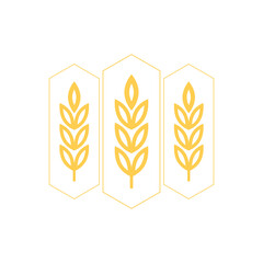 Wheat logo design. Oat symbol vector.