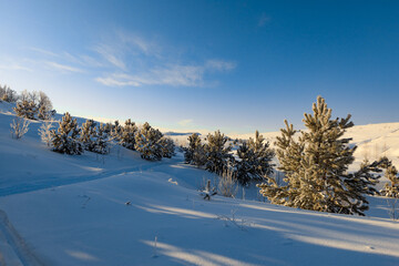 Snowy landscape, winter in Russia