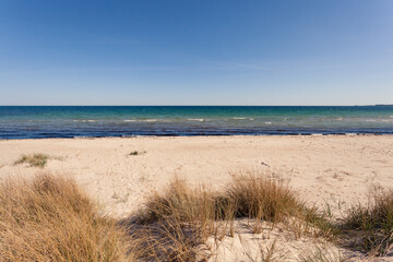 beach in Gotland sea horizon