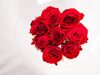 red roses from above 