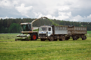 The harvester removes the grass from the field, loads the silo into the tractor