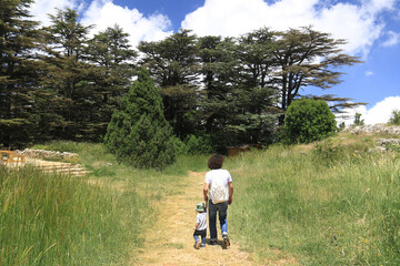 Father, Son, and Cedars in Lebanon