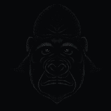 The Vector logo a monkey or gorilla named King Kong for tattoo or T-shirt design or outwear.  Cute print style a monkey or gorilla named King Kong background. This drawing would be nice to make.