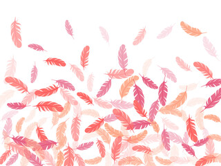 Obraz premium Flying feather elements airy vector design.