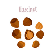 Healthy nutrition product. Hazelnuts, shelled and peeled.