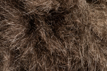 Cat fur Abstract background texture of fur cat close-up Fashion element design