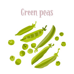 Healthy nutrition product. Fresh tasty green peas. 
