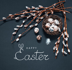 happy easter spring square background with willow branches and eggs in nest on black