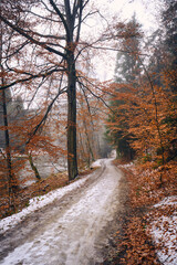 Frozen road along the Ohře River