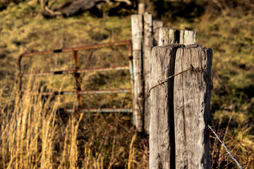A farm landscape featuring a line of weathered fence posts strung with barbwire leading to a rusted, open gate.