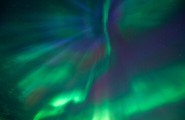 Aurora Borealis - Northern lights Yellowknife Northwest Territories 
