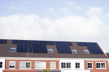 Fototapeta premium Terraced houses with brown roofs with solar panels in the Netherlands