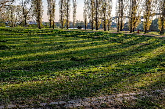 Elbpark Entenwerder - ein Park an der Elbe in Hamburg mit Elbbr&uuml;cken und Pappeln (Weiden) und langen Schatten 