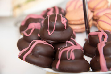 chocolate sarah beranard with pink icing