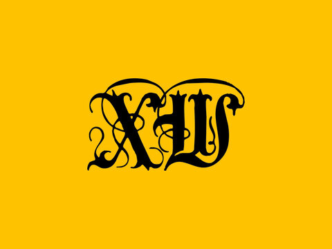 Calligraphy XW Logo, Creative XW abstract letters logo design