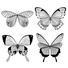 Set of graphic butterflies. Insects. Elements for design, illustrations, decoration. Black and white. Raster illustration.
