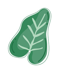 tropical leaf icon