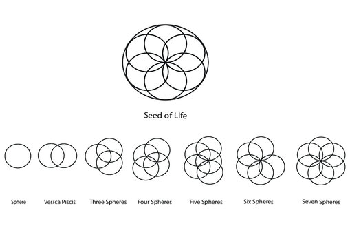 Sacred Geometry of Creation. The Seed of Life in seven stages of creation. The world made in seven days.