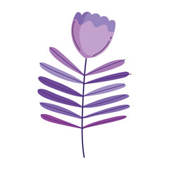 flower and leaves