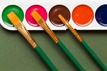 Multicolored watercolor paints with a brush on a green background. Objects for art