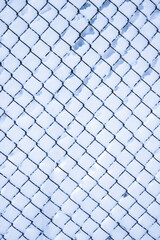 Fototapeta premium mesh in winter on nature in park background