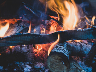 Fototapeta premium Burning fire. The fire burns in the forest. Texture of burning coals. Campfire for cooking in the forest. burning dry branches.