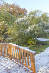 Fototapeta premium wooden bridge in autumn forest