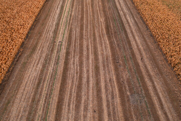 Wheat stubble field after harvest, drone pov