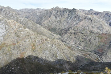 serpiente entre la montaña
