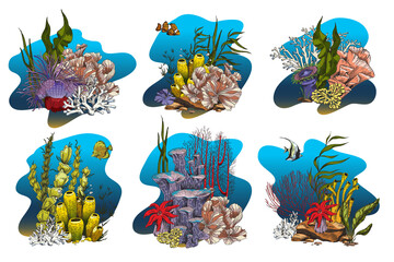 Coral reef colonies with seaweed, laminaria, kelp and fishes - colored sketch vector illustration.