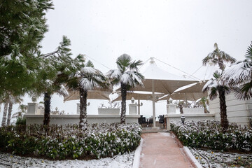 Heavy snowfall on the Mediterranean coast. Snow storm and white covered palm trees. Empty beaches and hotel cafes.