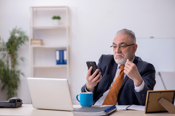 Old male employee working in the office