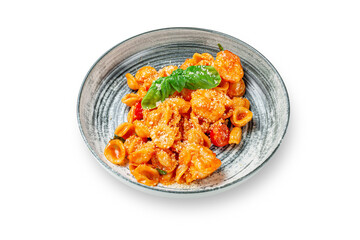Italian pasta with tomato and cheese, basil in a plate on a white isolated background. Space for copying. Top view.