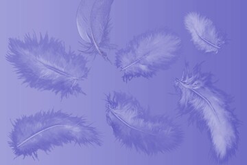 The trending color of the new year is very peri. Light feathers on a purple background. Fashion color 2022.