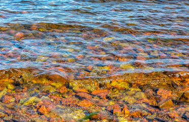 Multi-colored bottom of Lake Ladoga with clear water.